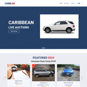 Car bidding Auctions